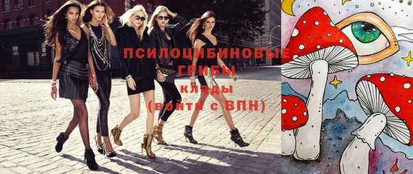 ешки Алзамай