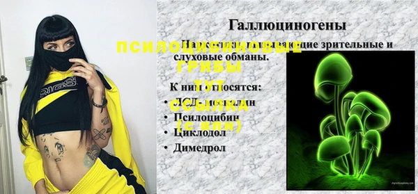 ешки Алзамай