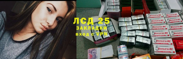 ешки Алзамай